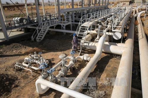 OPEC lạc quan về khả năng cân bằng của thị trường dầu mỏ ảnh 1